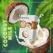 تنباکو شیرنارگیل بنگ بنگ | Coconut Milk Bang Bang Tobacco