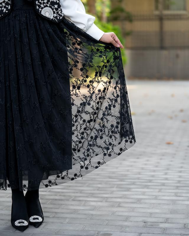 دامن 