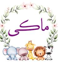 ماکی ست