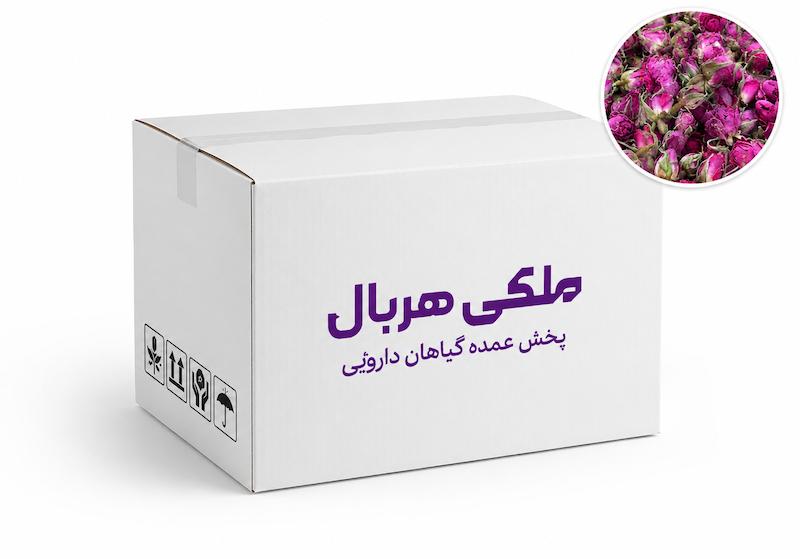 غنچه گل محمدی داراب 