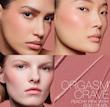 Nars mini multiple soft blur blush stick ست مینی دو تکه رژگونه نارس