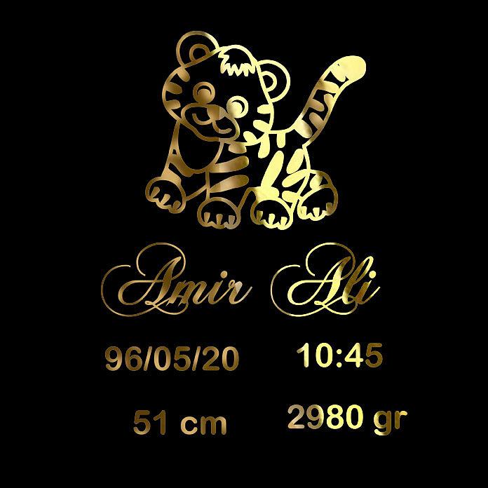 مشخصات کودک (طرح گربه)