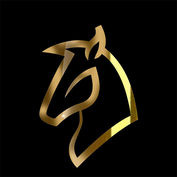 استیکر سر اسب-مولتی استایل
