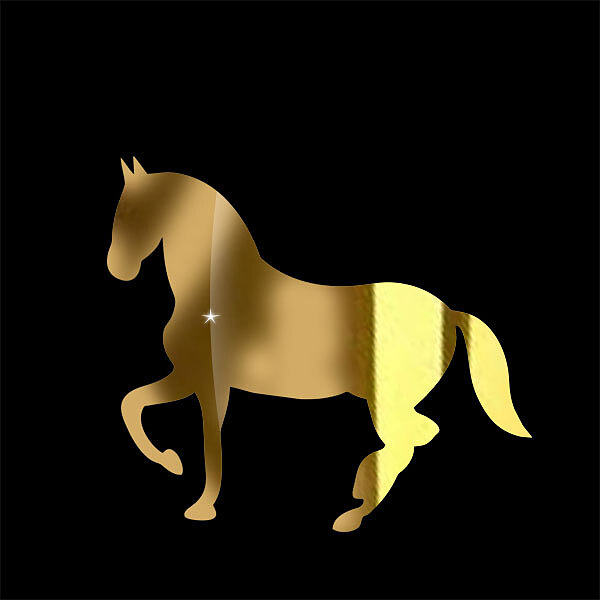 استیکر اسب -مولتی استایل