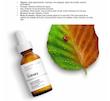 سرم ویتامین سی اوردینری، ضد لک Ordinary, Ascorbic Acid 8% + Alpha Arbutin 2%