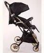 کالسکه مسافرتی ریچ کیدز Pro baby star 5 رنگ مشکی بدنه گلد
