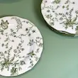 بشقاب طرح پاپیون قطر 25 English Home