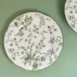 بشقاب طرح پاپیون قطر 25 English Home