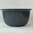 کاسه های سری BALLY از برند FOLY LIFE