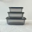 ظروف نظم دهنده مدل POLI
