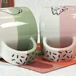 ماگ سرامیکی طرح گربه