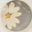 بشقاب سرامیکی برند کرامیکا 