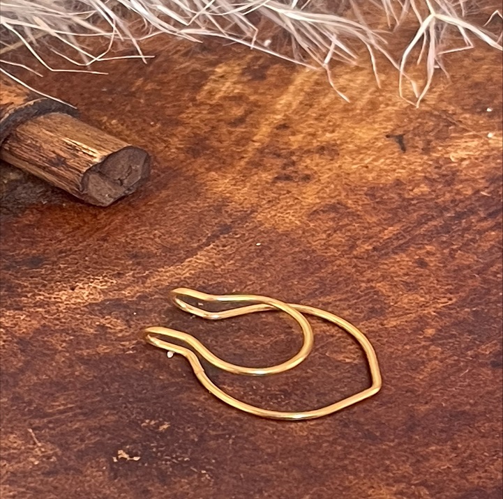 سپتوم بینی فیک