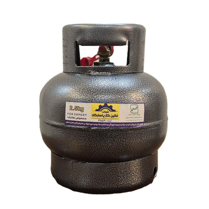 پیک نیک 2.5 کیلویی (بدون سری خوراک پز)