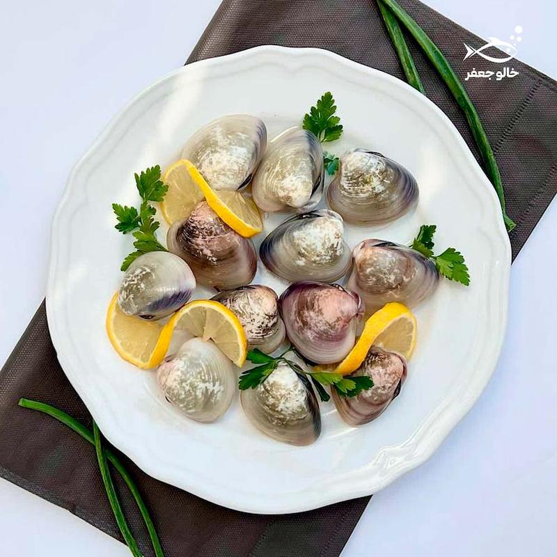 صدف دو کفه ای  (۱ کیلوگرم)