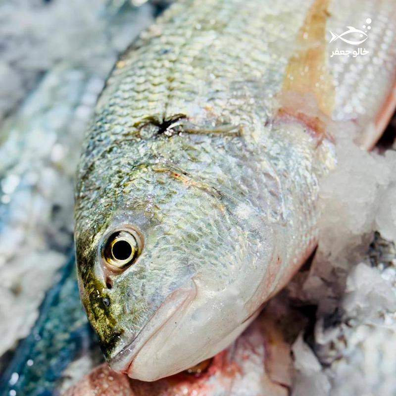 ماهی صبیتی (۱ کیلوگرم)