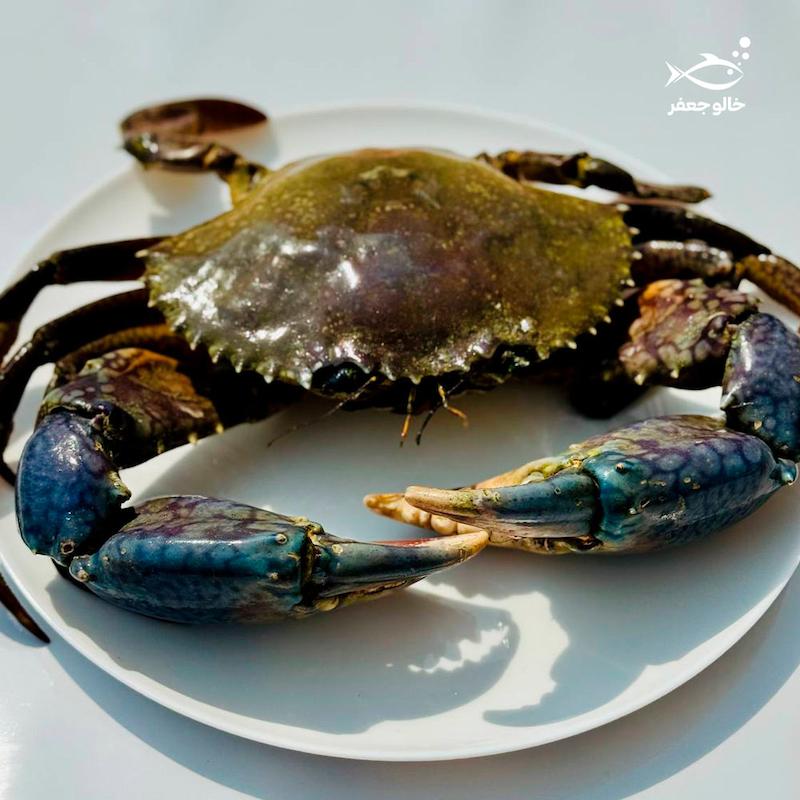 خرچنگ کینگ (۱ کیلوگرم)