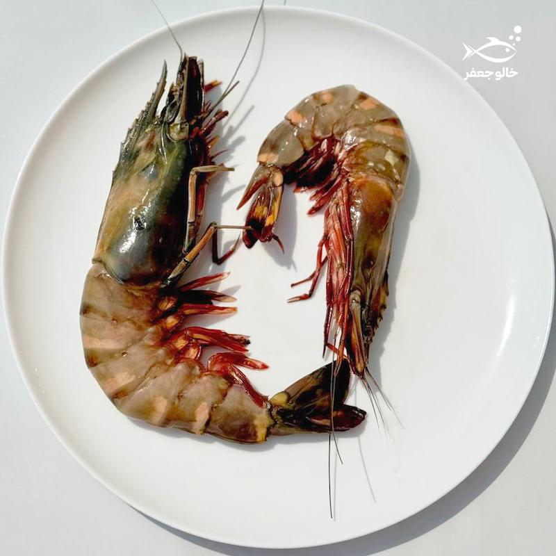 شاه ميگو نژاد ببری (۲۰-۱۶ عدد در هر کیلوگرم)