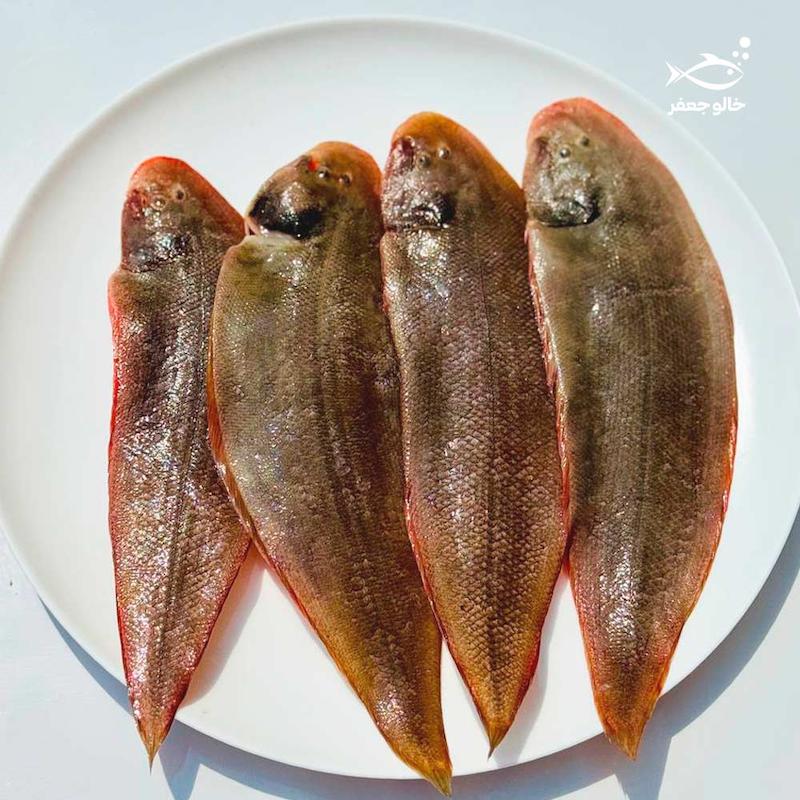 ماهی زبان صادراتی (۱ کیلوگرم)