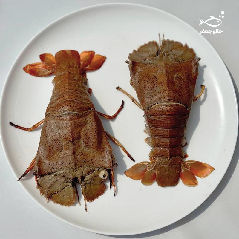 لابستر سر پهن (۱ کیلوگرم)