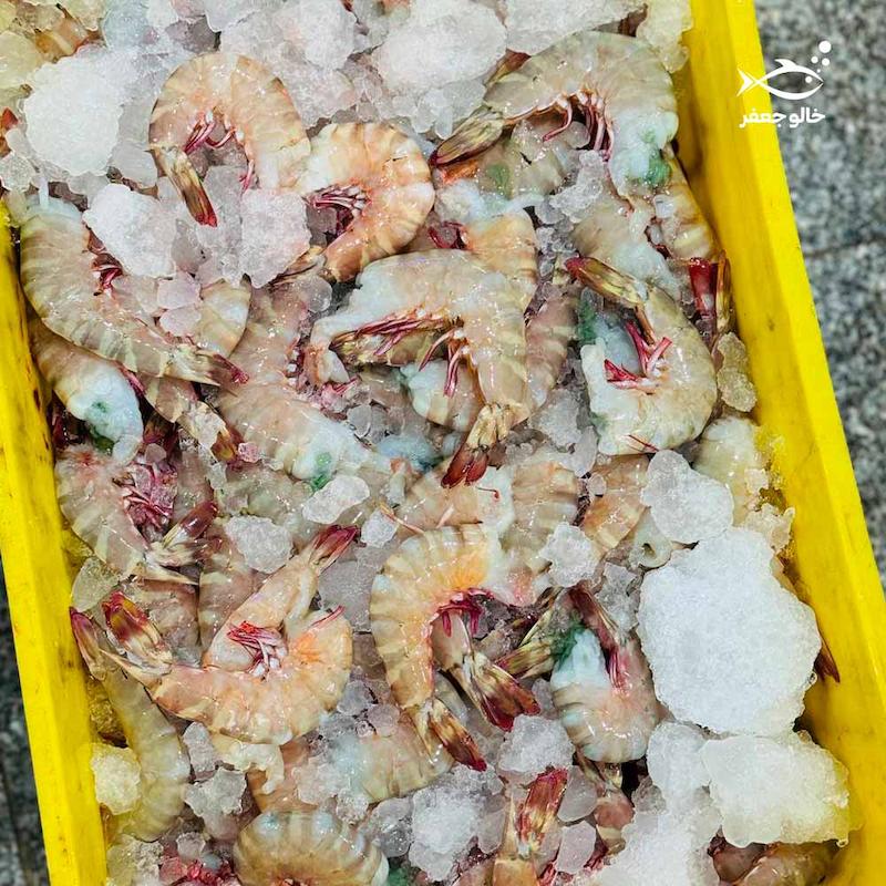 ميگو درشت نژاد ببری (۴۰-۳۰ عدد در هر کیلوگرم)