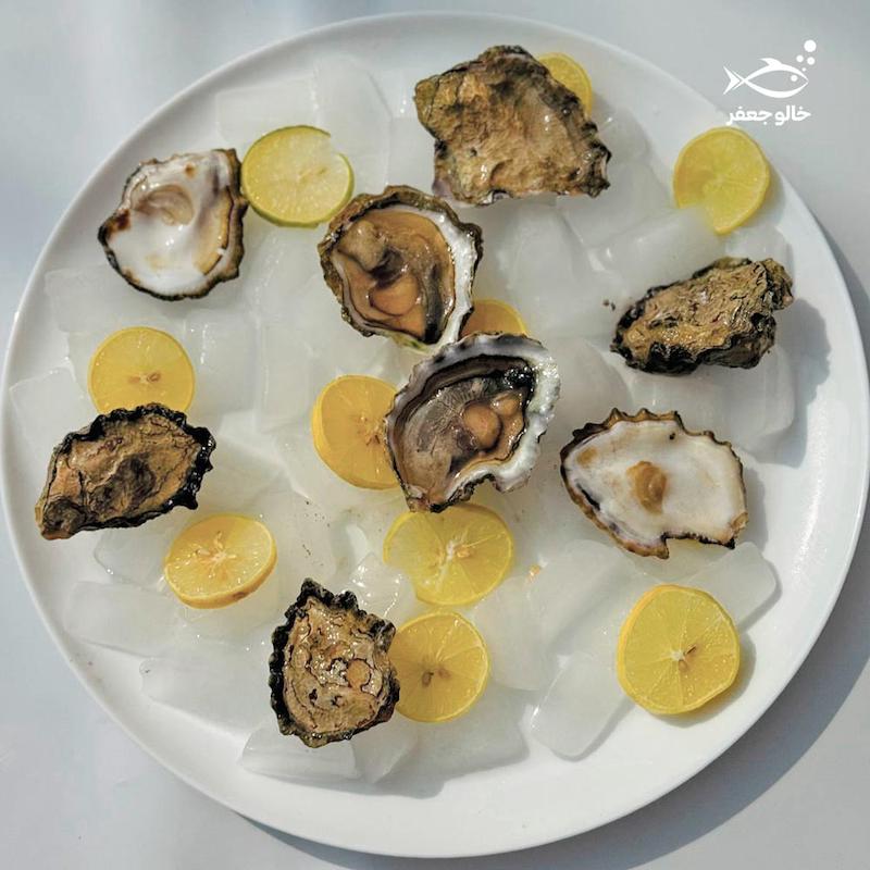 صدف اویستر (۱ کیلوگرم)