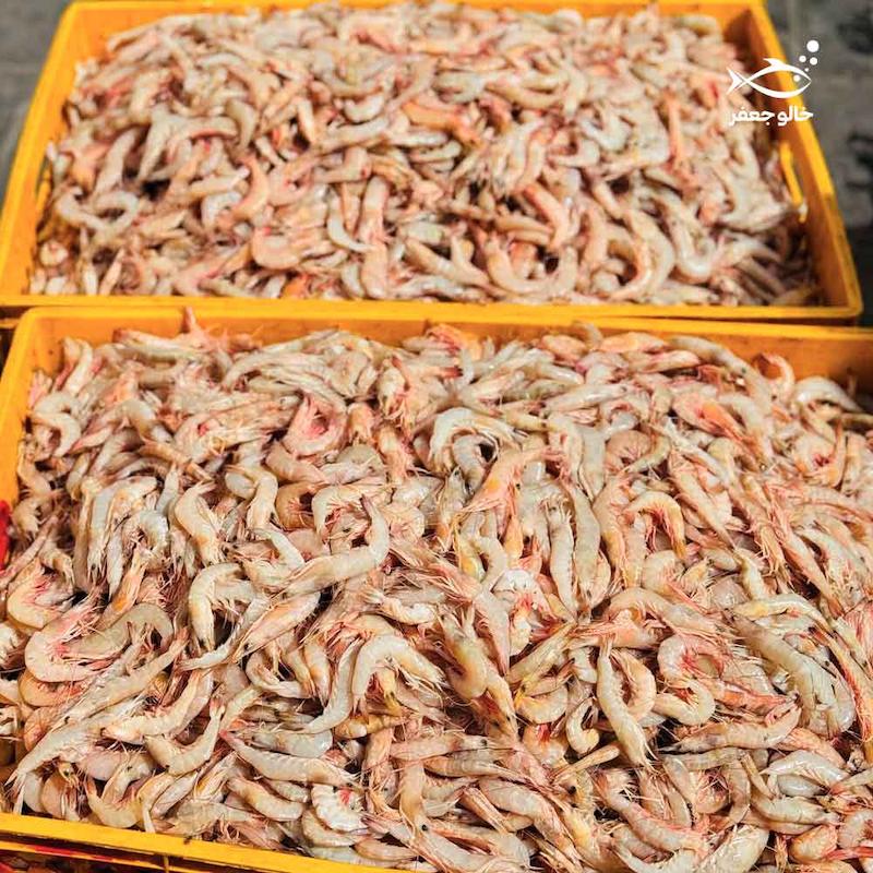 ميگو پلویی ریز (۱۲۰-۱۰۰ عدد در هر کیلوگرم)