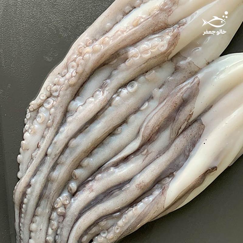 هشت پا (۱ کیلوگرم)