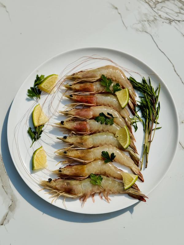 میگو سایز ۴۰ ۵۰ 