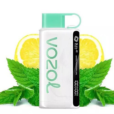 پاد یکبار مصرف کد458 vozol lemon mint 12000