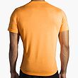 تیشرت ورزشی مردانه Brooks Distance Short Sleeve