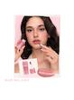 رژ لب و گونه ابری شیگلم مدل Air Plush Lip & Cheek Cream رنگ High Winds