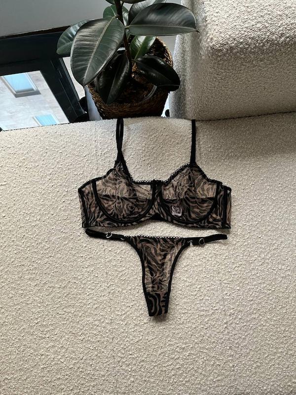 لباس زیر شیشه ای زبرا