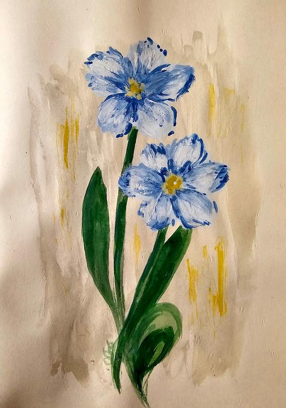 گل‌های آبی