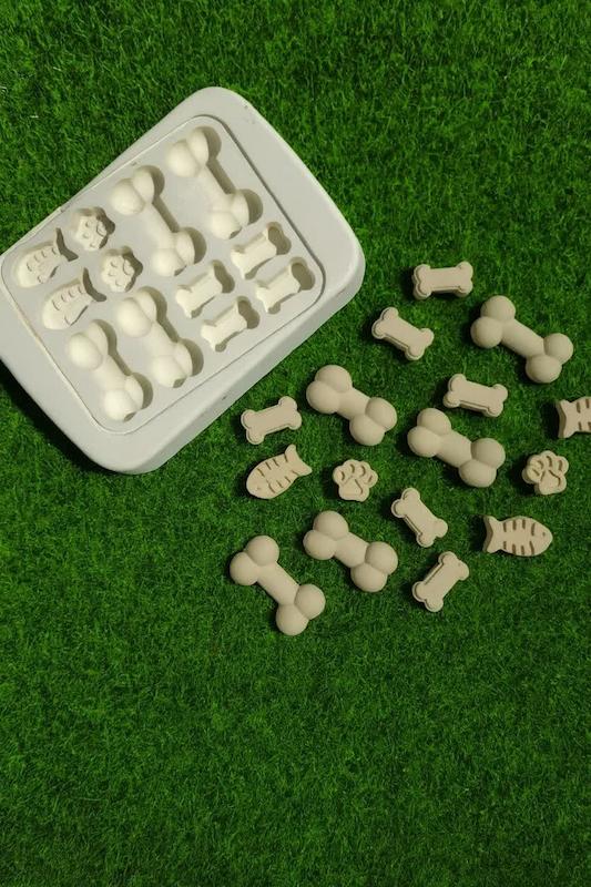 قالب گچی استخوان ( پل مل )