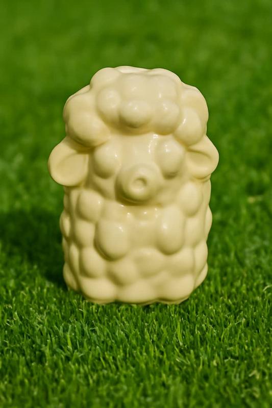 قالب گچی ببعی ( گیوا مولد )