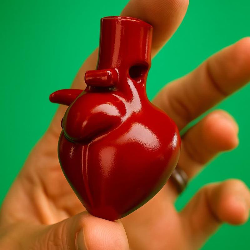 قالب گچی مینی قلب انسان ( گیوا مولد )