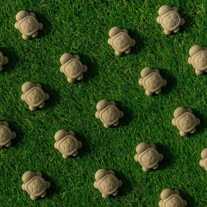 قالب گچی  بچه لاک پشت ( پل مل )