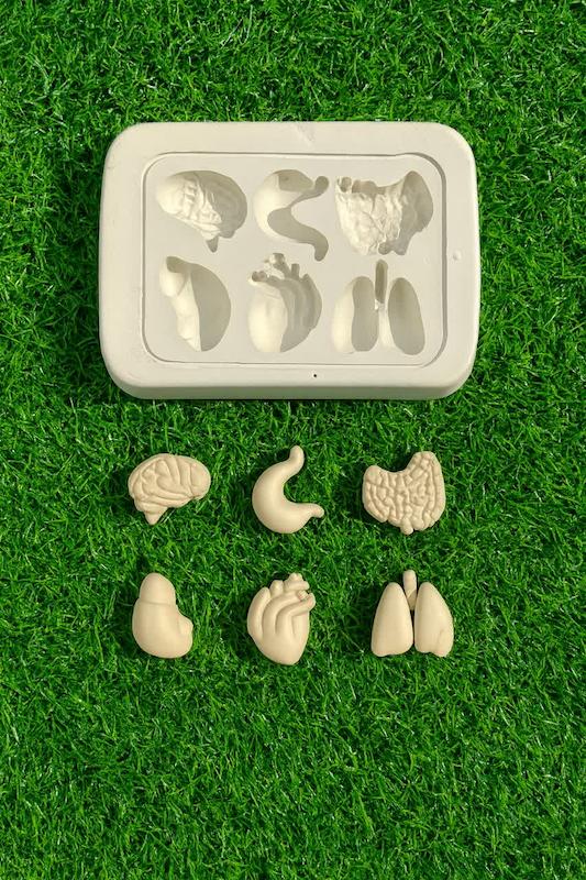 قالب گچی اعضای بدن ( پل مل )