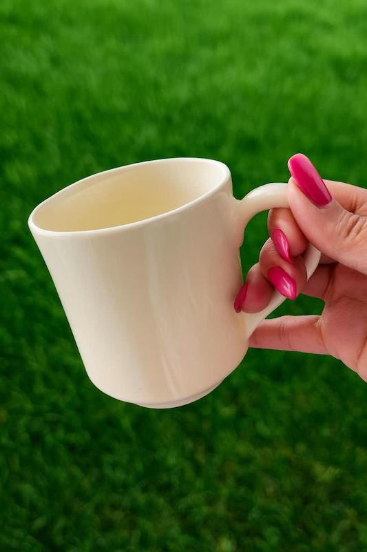 قالب گچی ماگ هتلی کد 1205 ( اشکان پارت )