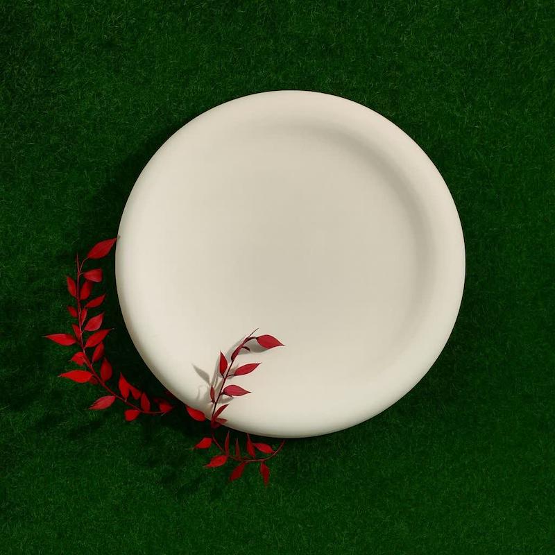 قالب گچی بشقاب میوه خوری کد 82 ( سرامیک مولدینگ )