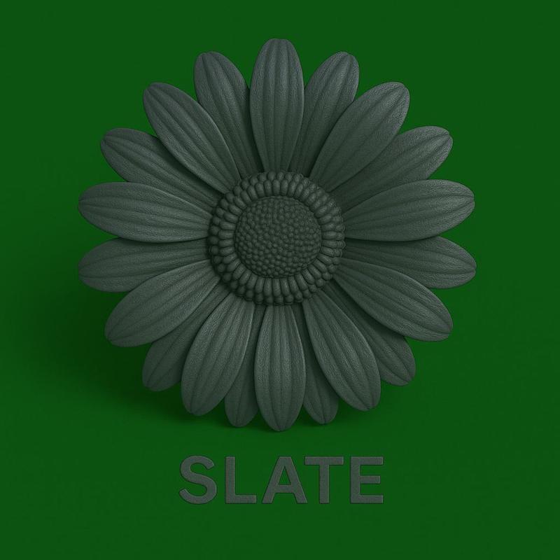 آندرگلیز طوسی SLATE ( بالینی )