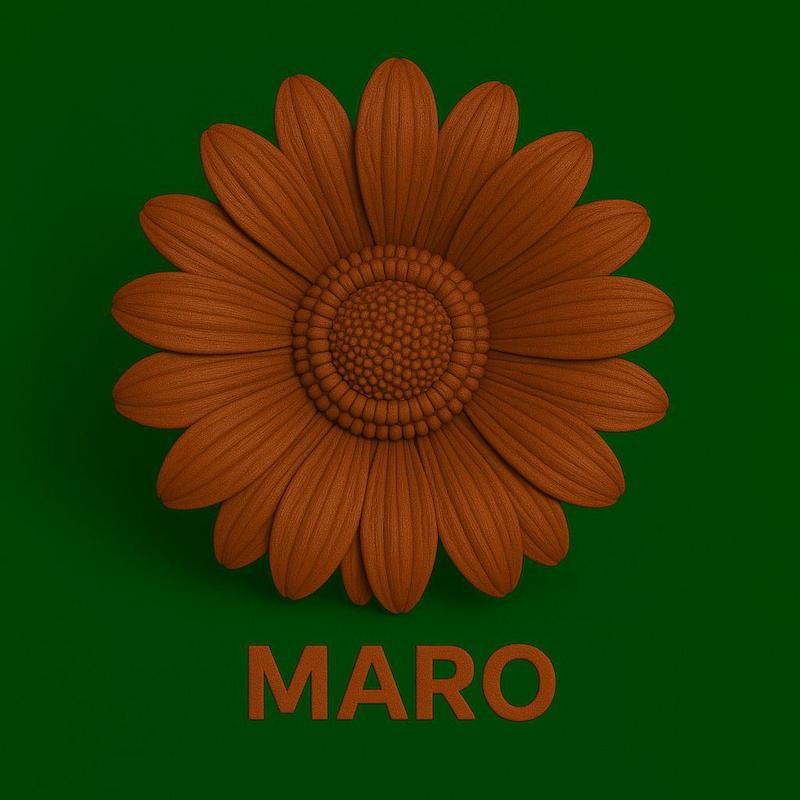 آندرگلیز قهوه ای MARO ( بالینی )