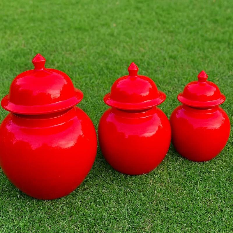 قالب گچی جینجر سایز بزرگ ( آرکو مولد )