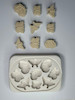 قالب گچی پروانه جدید ( پل مل )