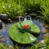 قالب گچی قورباغه برکه ای ( گیوا )