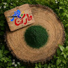رنگ پودری سبز تیره ( کد 313/800 )