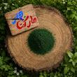 رنگ پودری سبز تیره ( کد 313/800 )