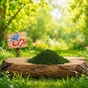 رنگ پودری سبز تیره ( کد 313/800 )