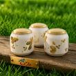 قالب گچی بانکه تانیا سایز دو بدون دسته( اسپیرال مولد )